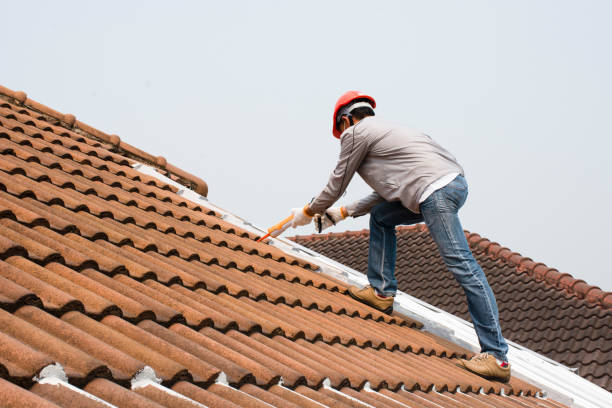 Best Roof Leak Repair  in , HI